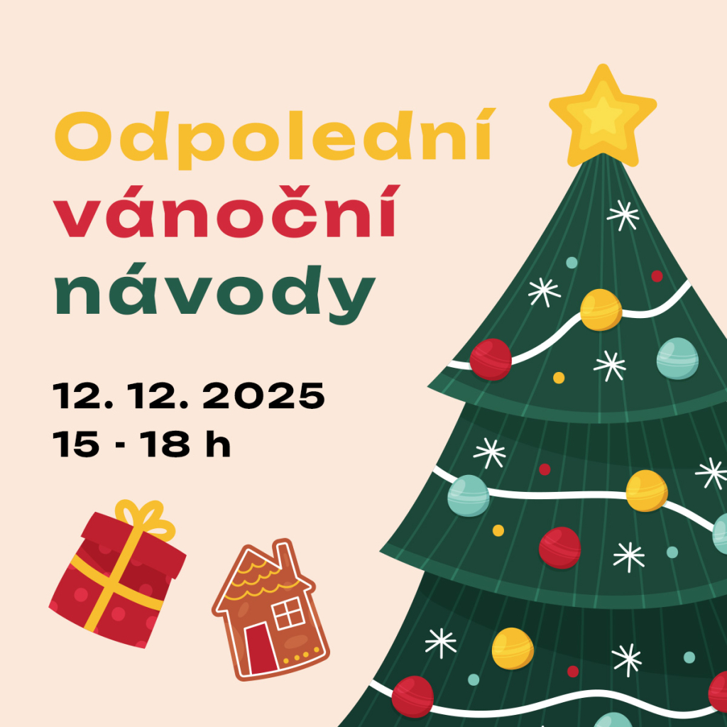 Odpolední vánoční návody