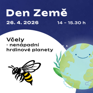 Včely - nenápadní hrdinové planety