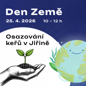 Osazování keřů v Jiřině