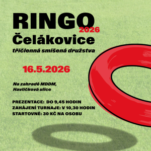 Velký turnaj v ringu